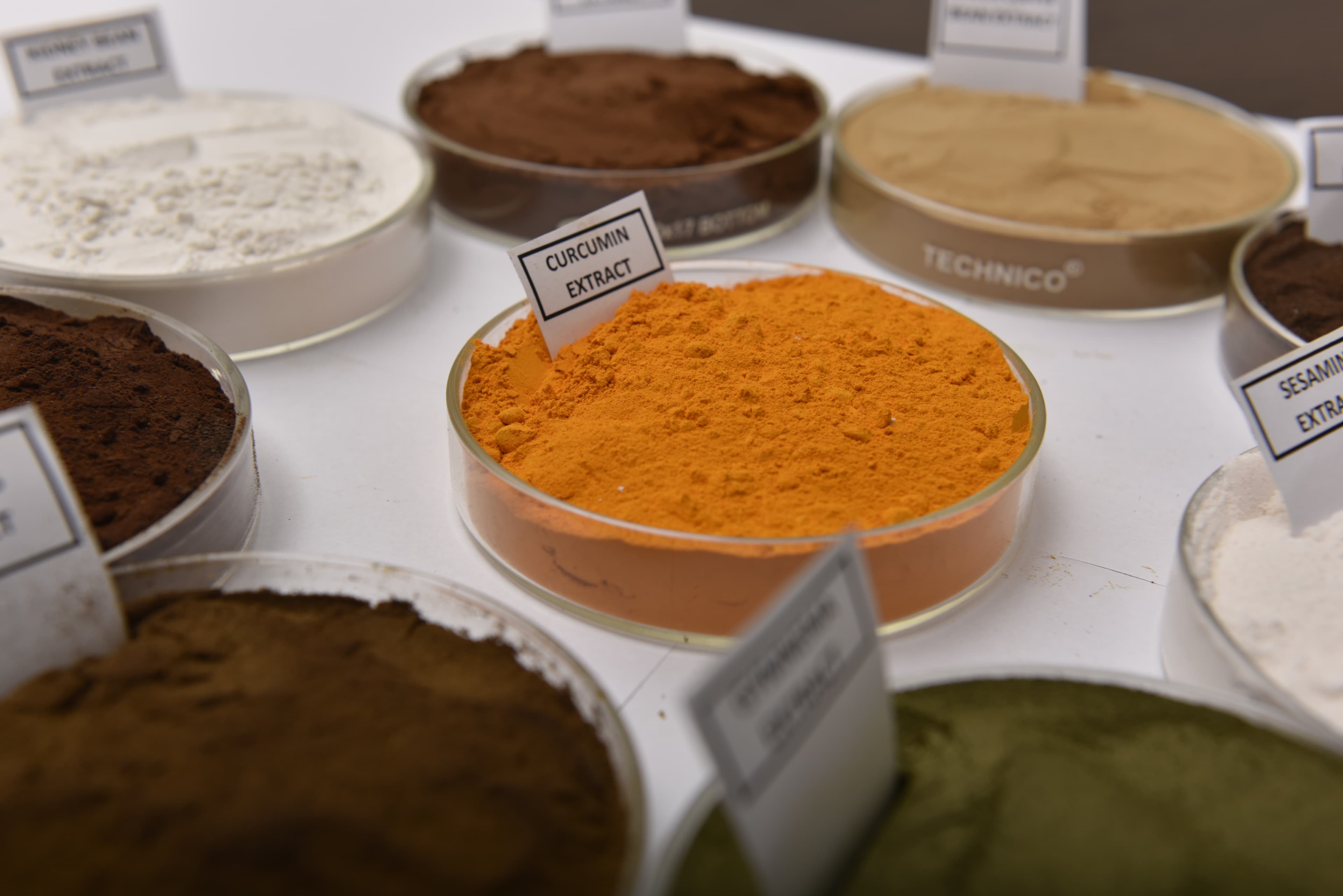 How to Choose the Right Herbal Extract for Supplement Formulation: A Scientific Guide for Product Developers