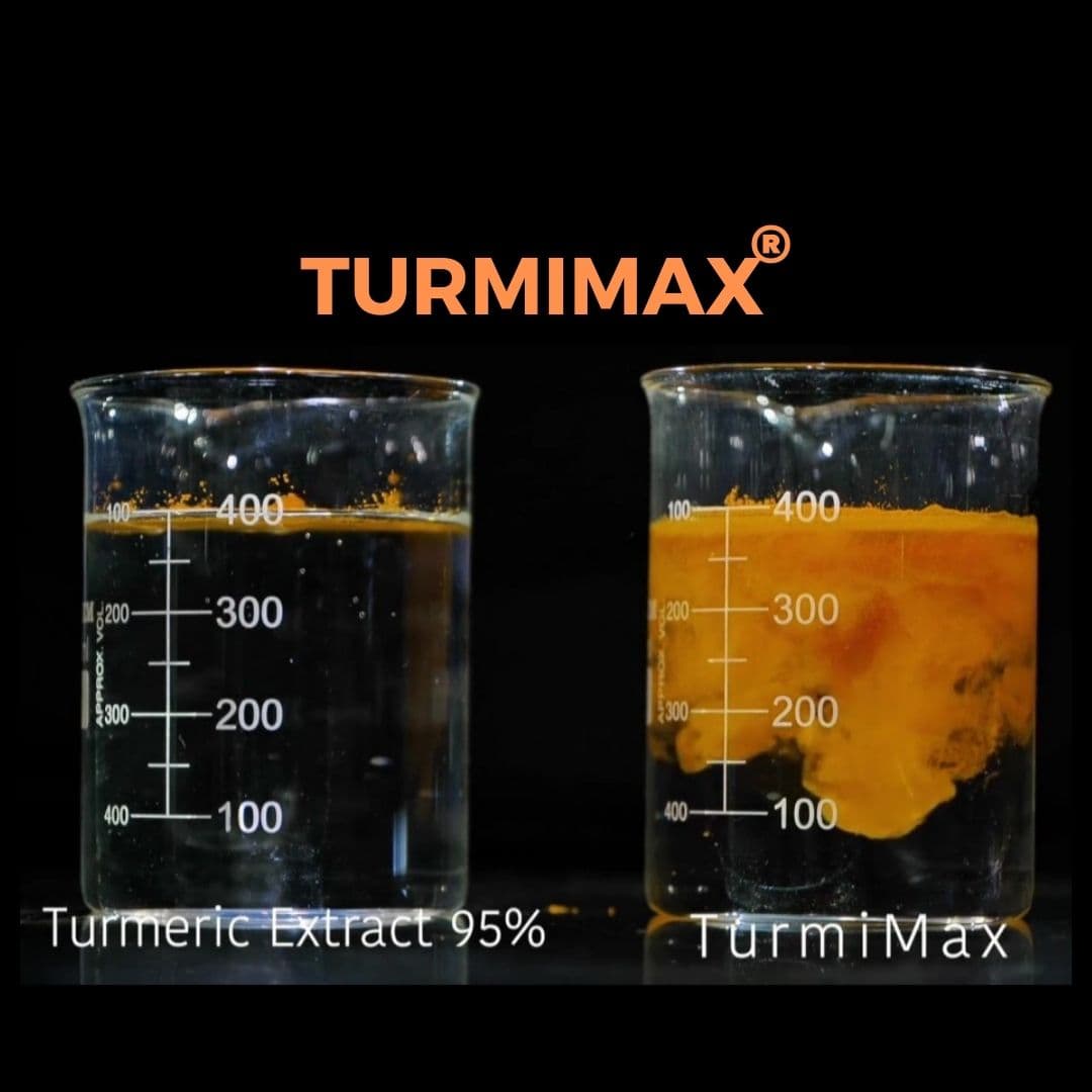 How TurmiMax Enhances Bioavailability Compared to Regular Turmeric: A Technical Guide for Private Label Brands