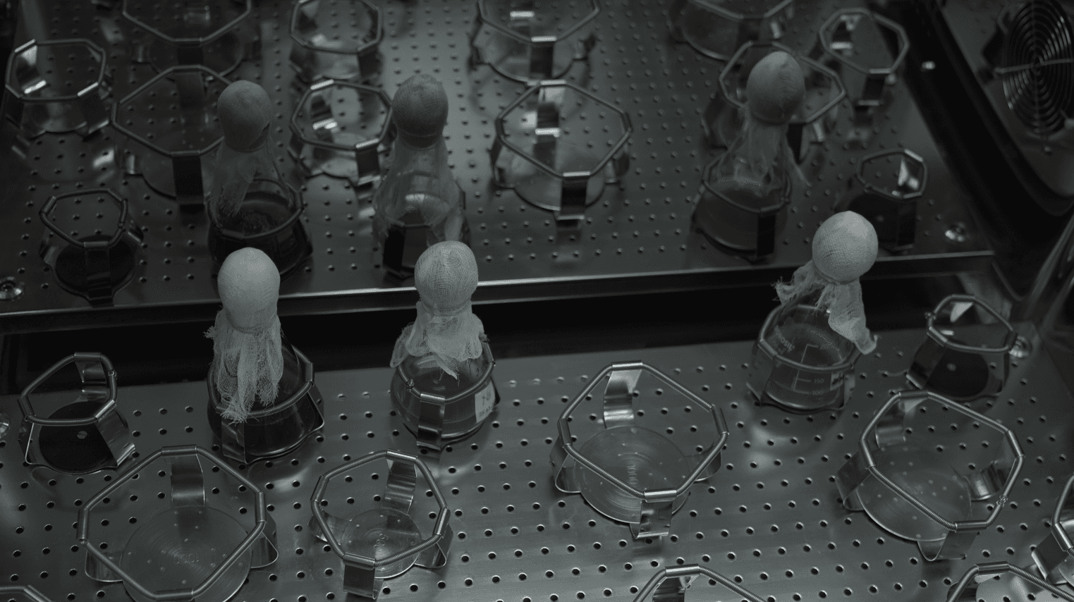 Microbiology Testing Lab