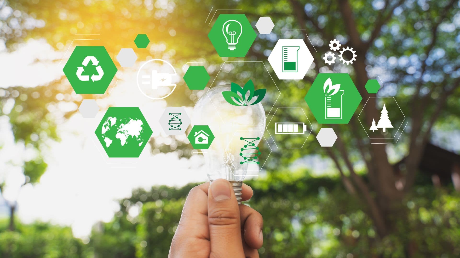 Sustainable Practices