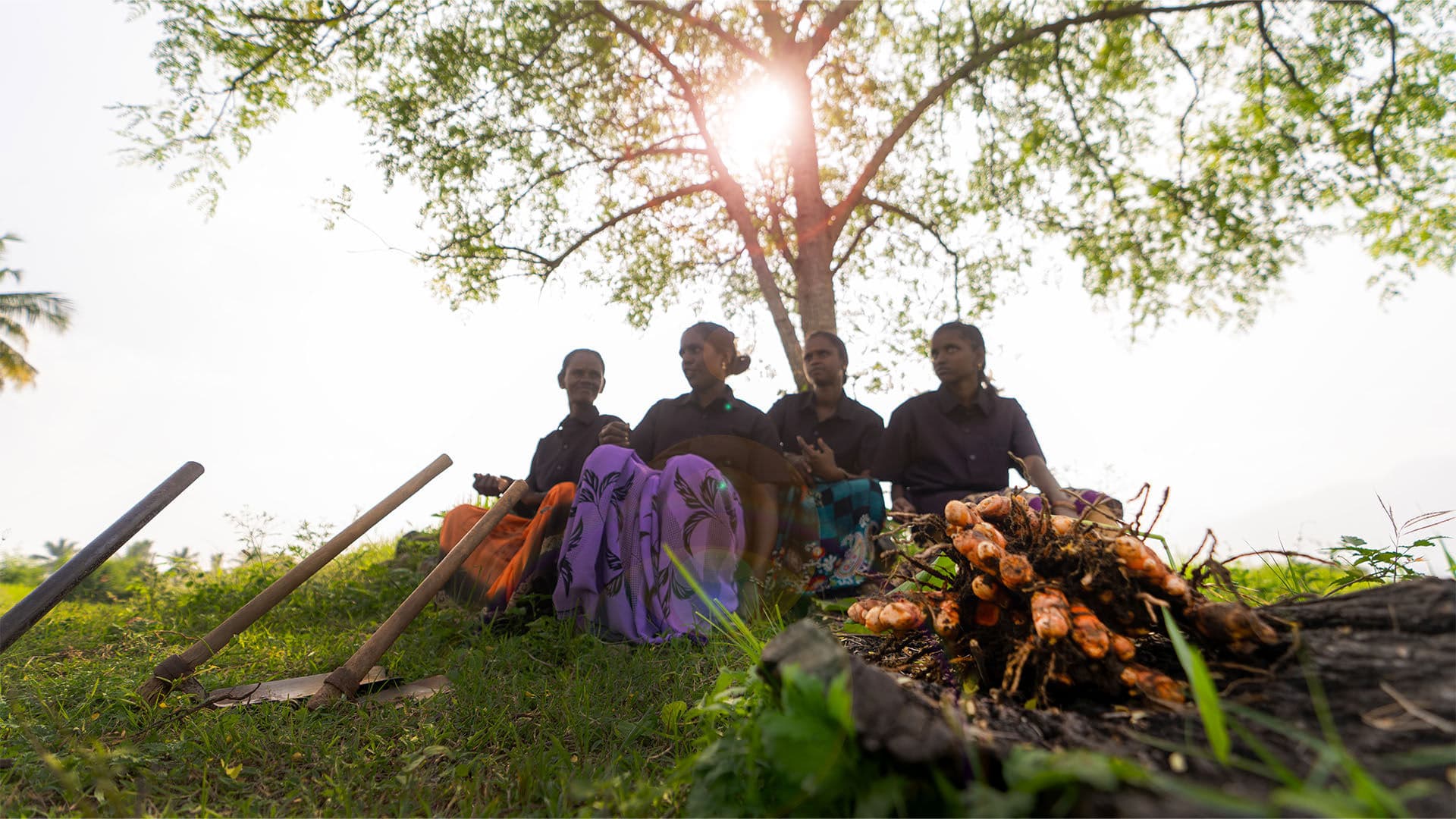 Sustainable Practices