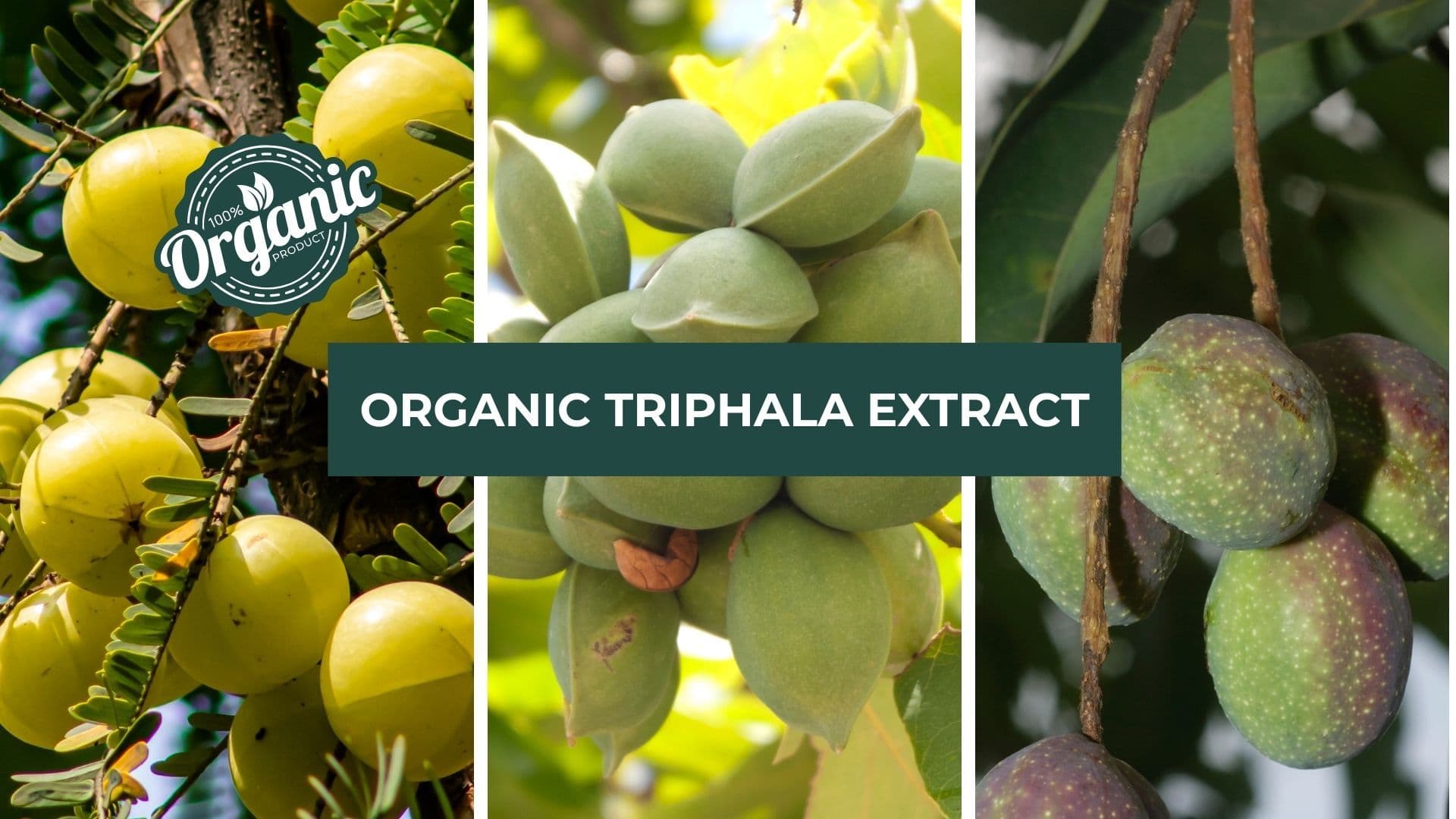 Organic Triphala Extract