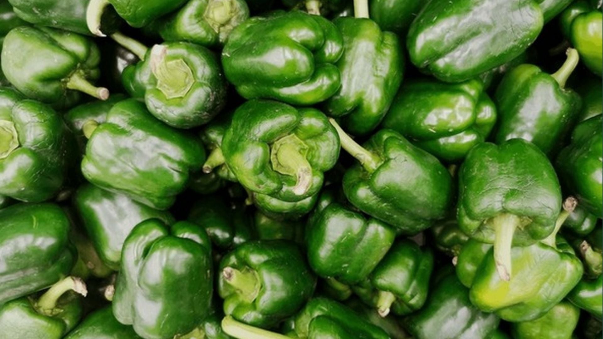 Capsicum Annum Extract
