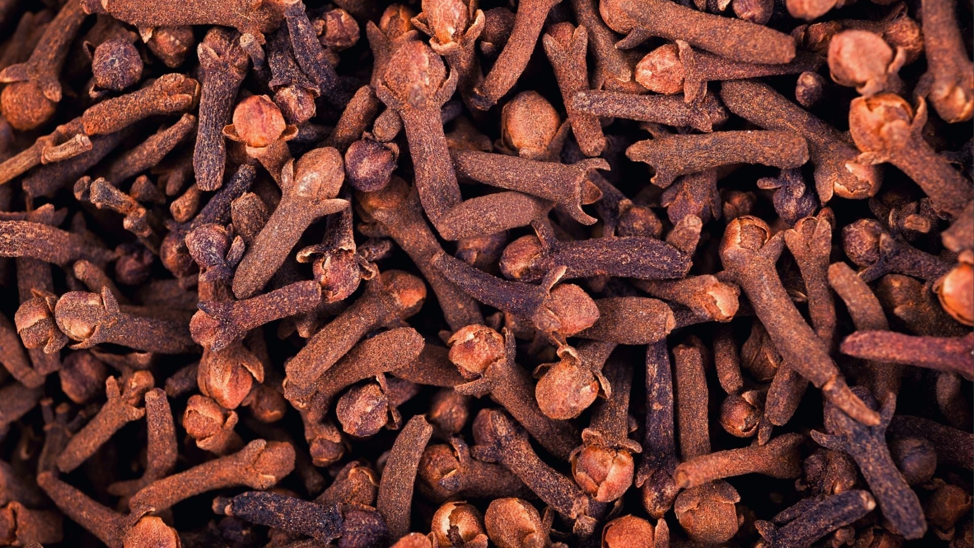 Clove Extract