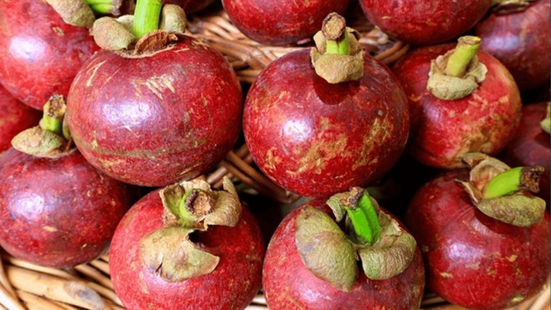 Garcinia Indica Extract