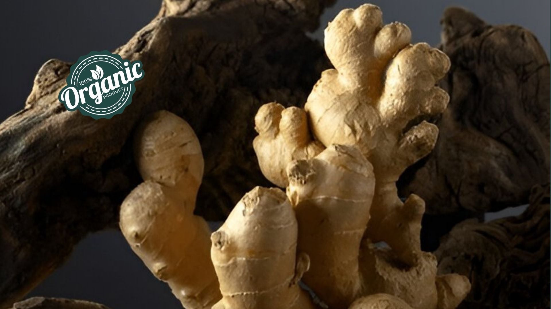 Organic Ginger Extract
