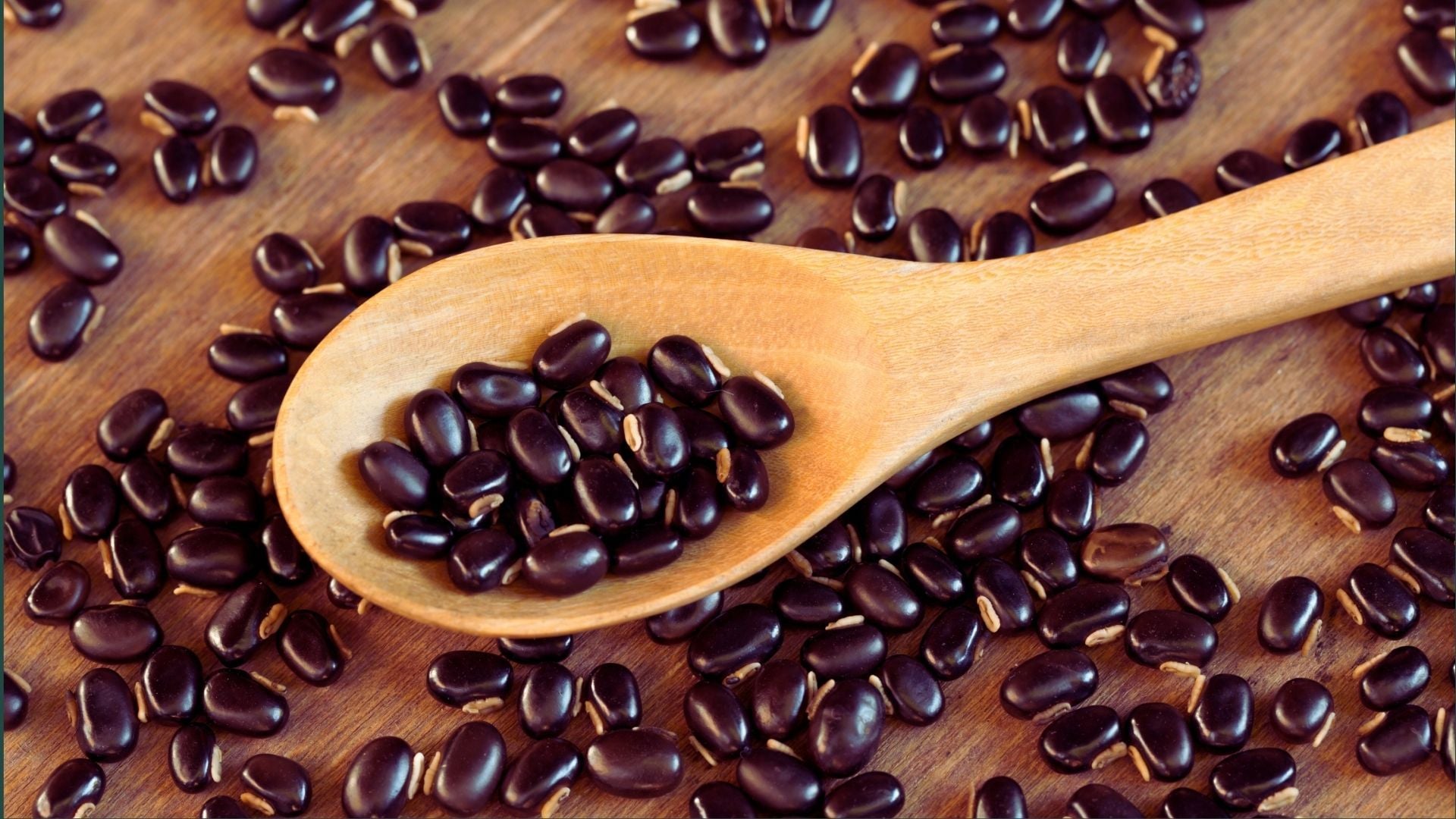 Mucuna Extract
