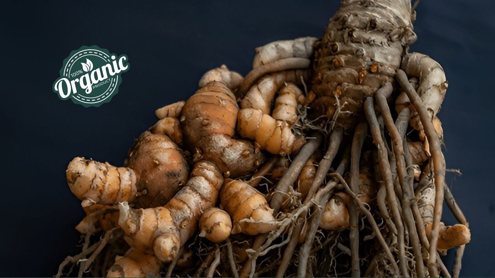 Organic Turmeric Extract