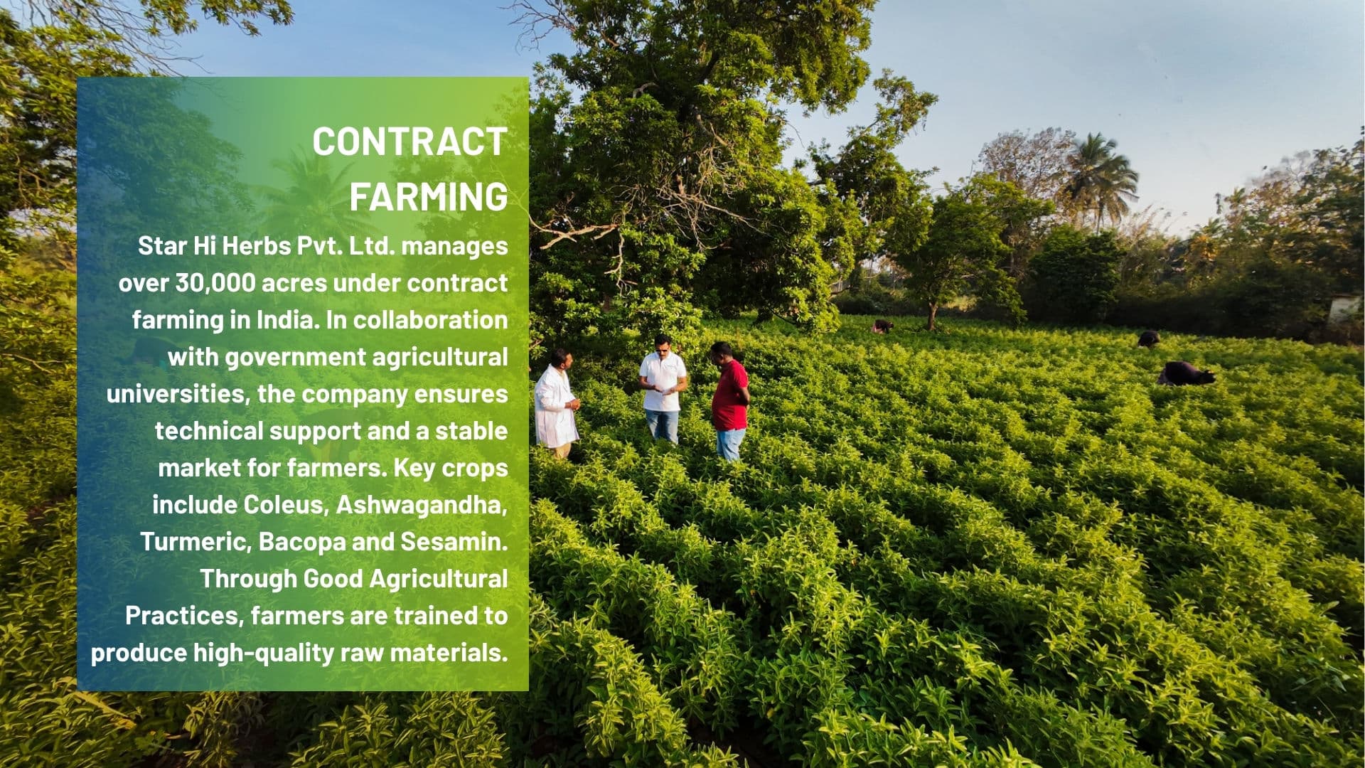 Organic Farming