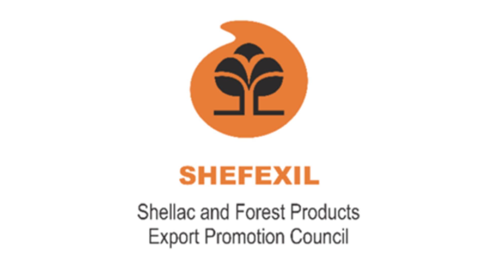 Shefexil