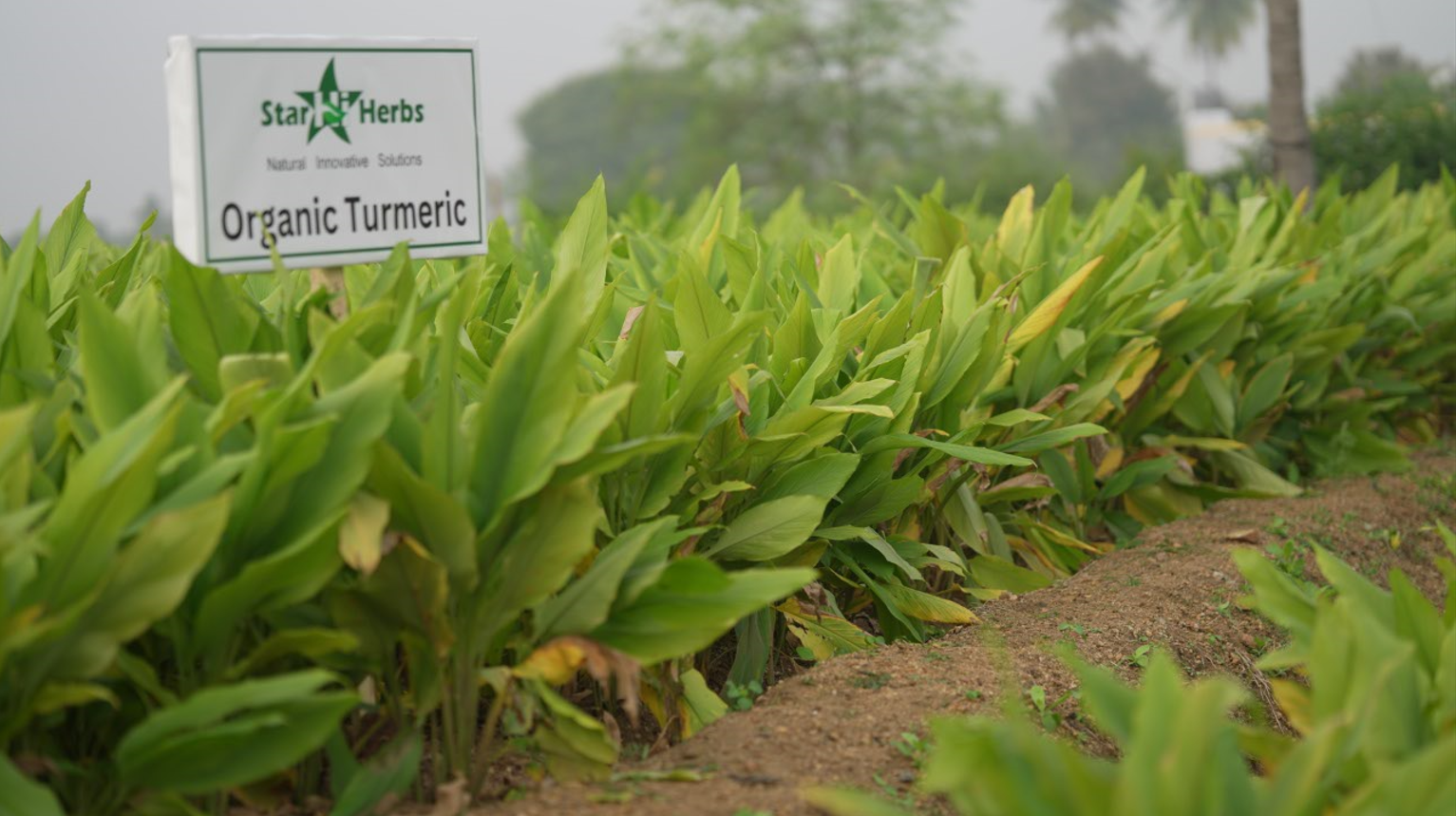 Organic Farming