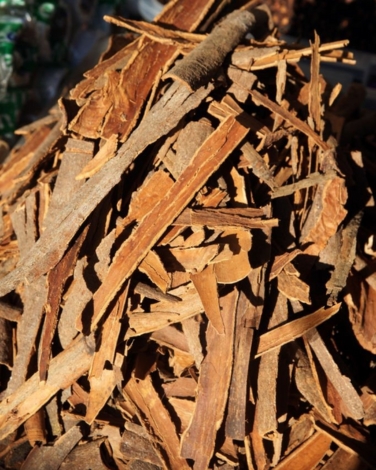 Berberis Aristata Extract