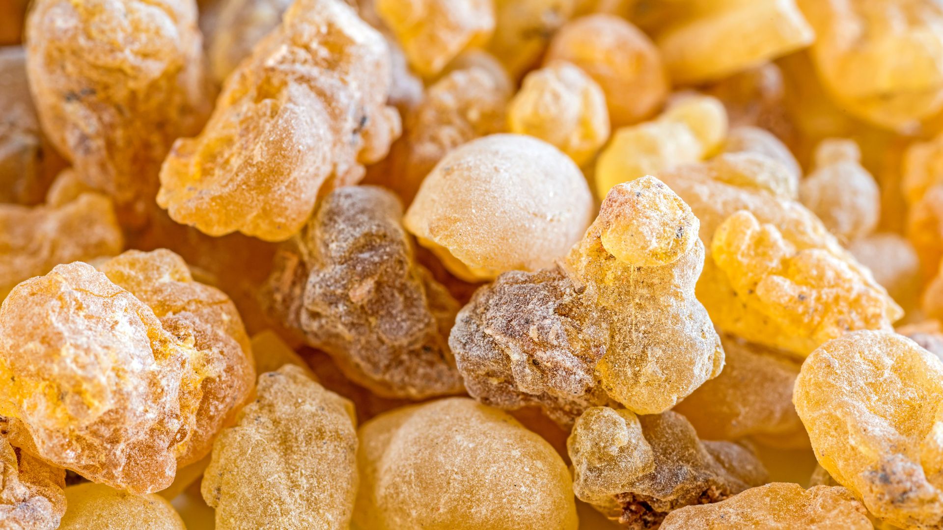Boswellia Serrata Extract gallery image 1