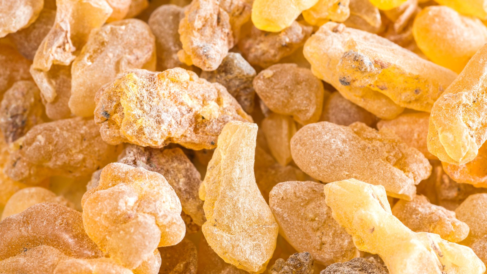 Boswellia Serrata Extract