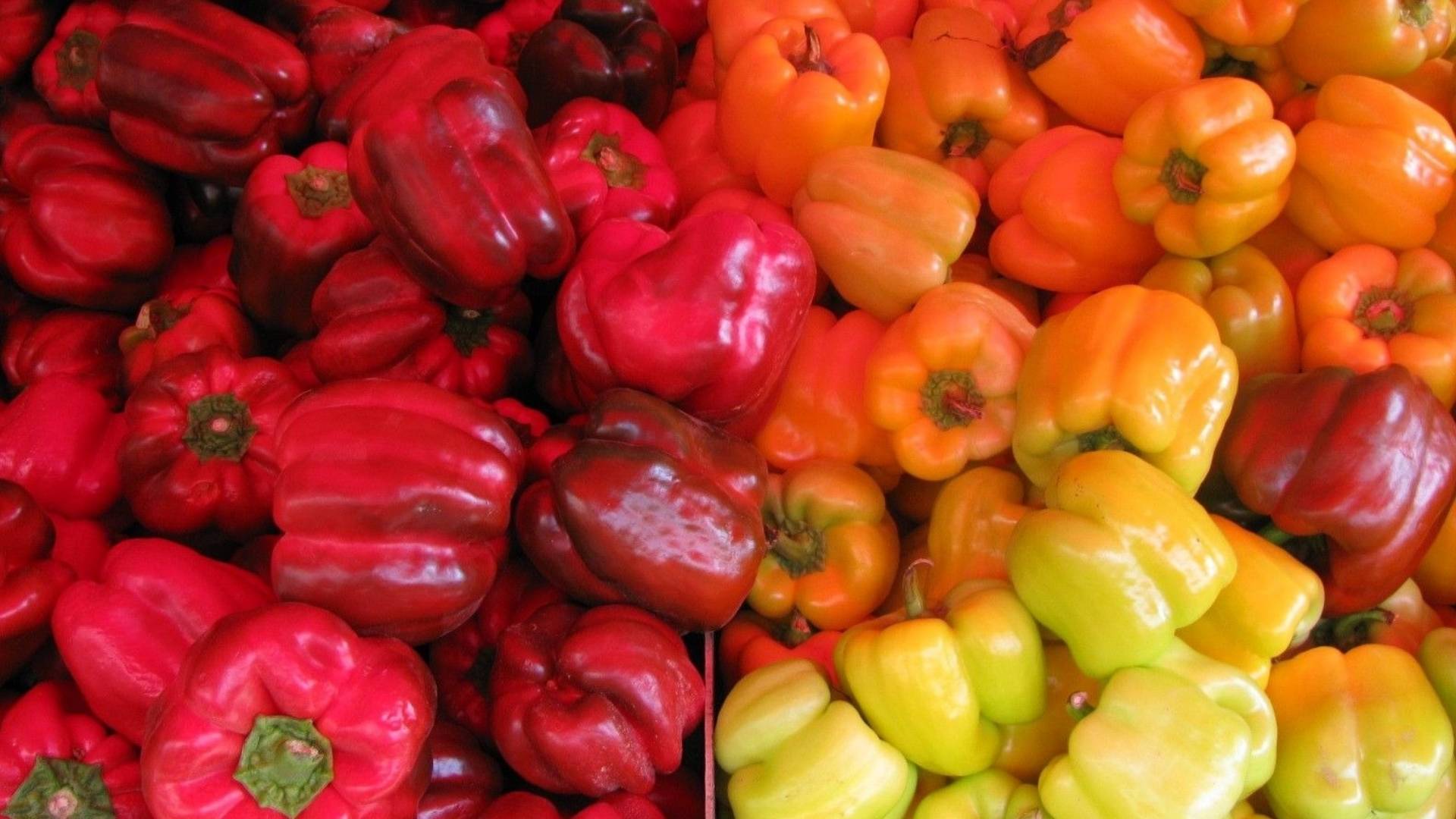 Capsicum Annum Extract
