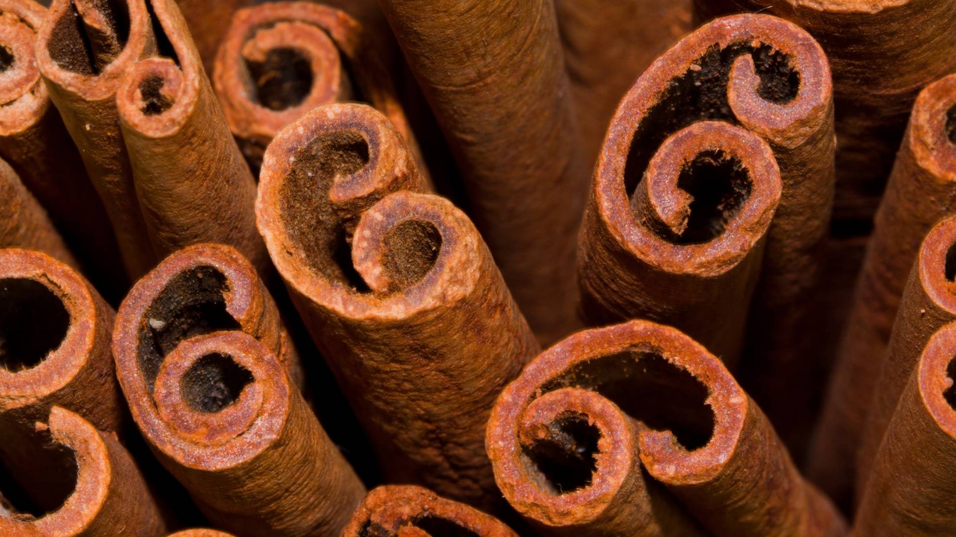 Cinnamon Extract gallery image 3