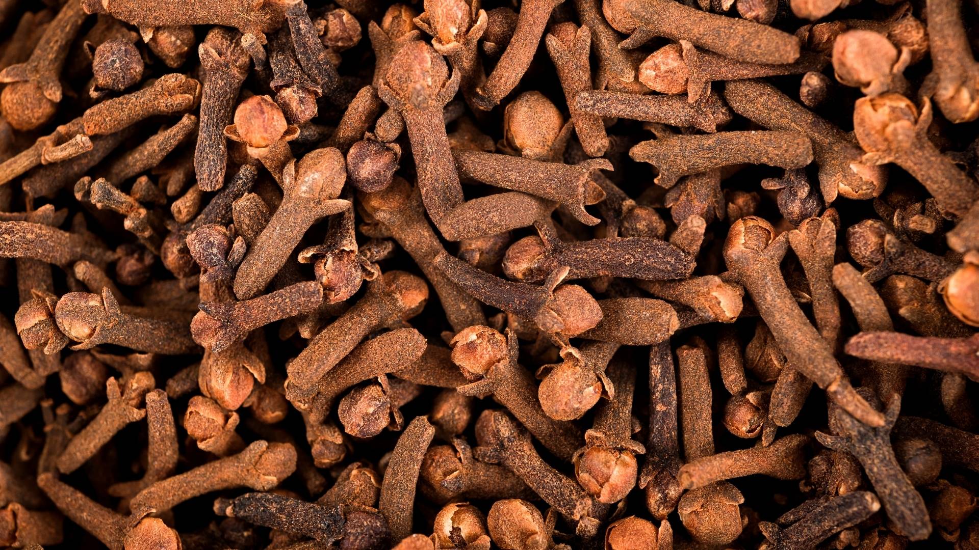 Clove Extract