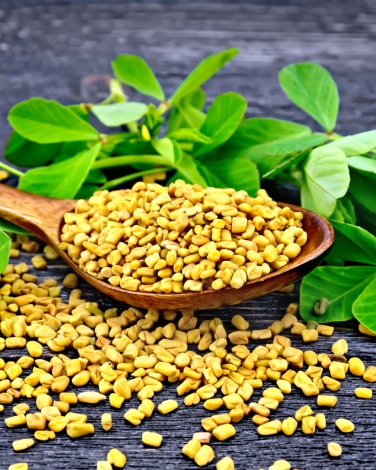 Fenugreek Extract