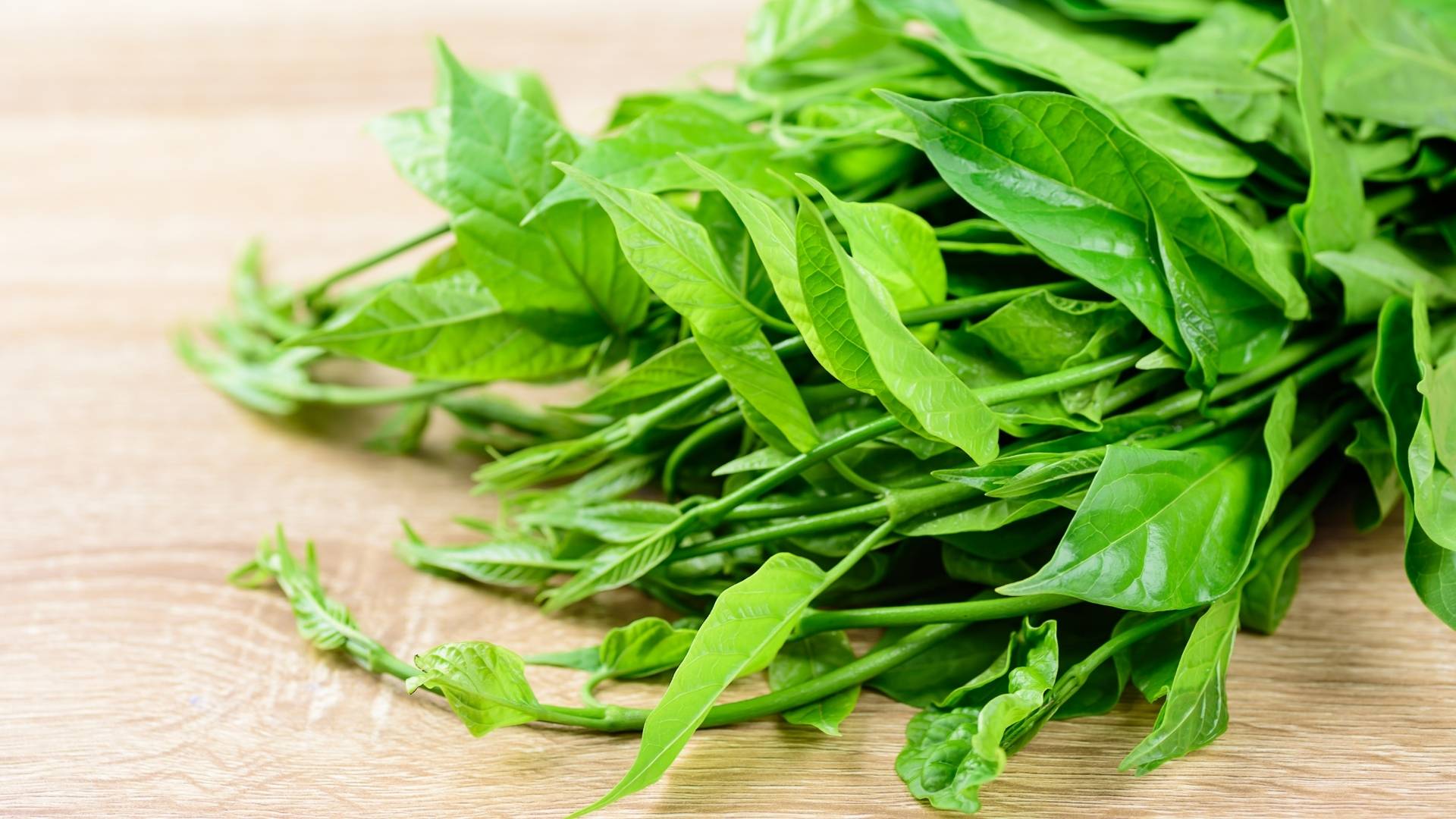 Gymnema Sylvestre Extract gallery image 2