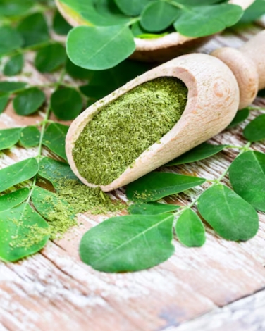 Gymnema Sylvestre Extract gallery image 3