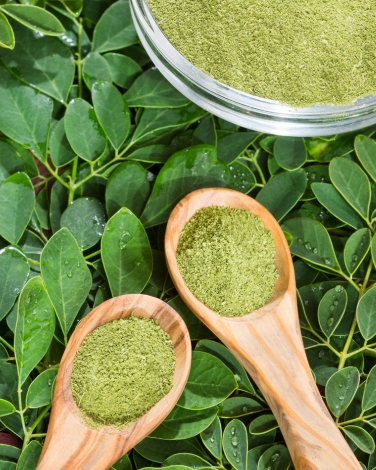 Organic Moringa Extract gallery image 1