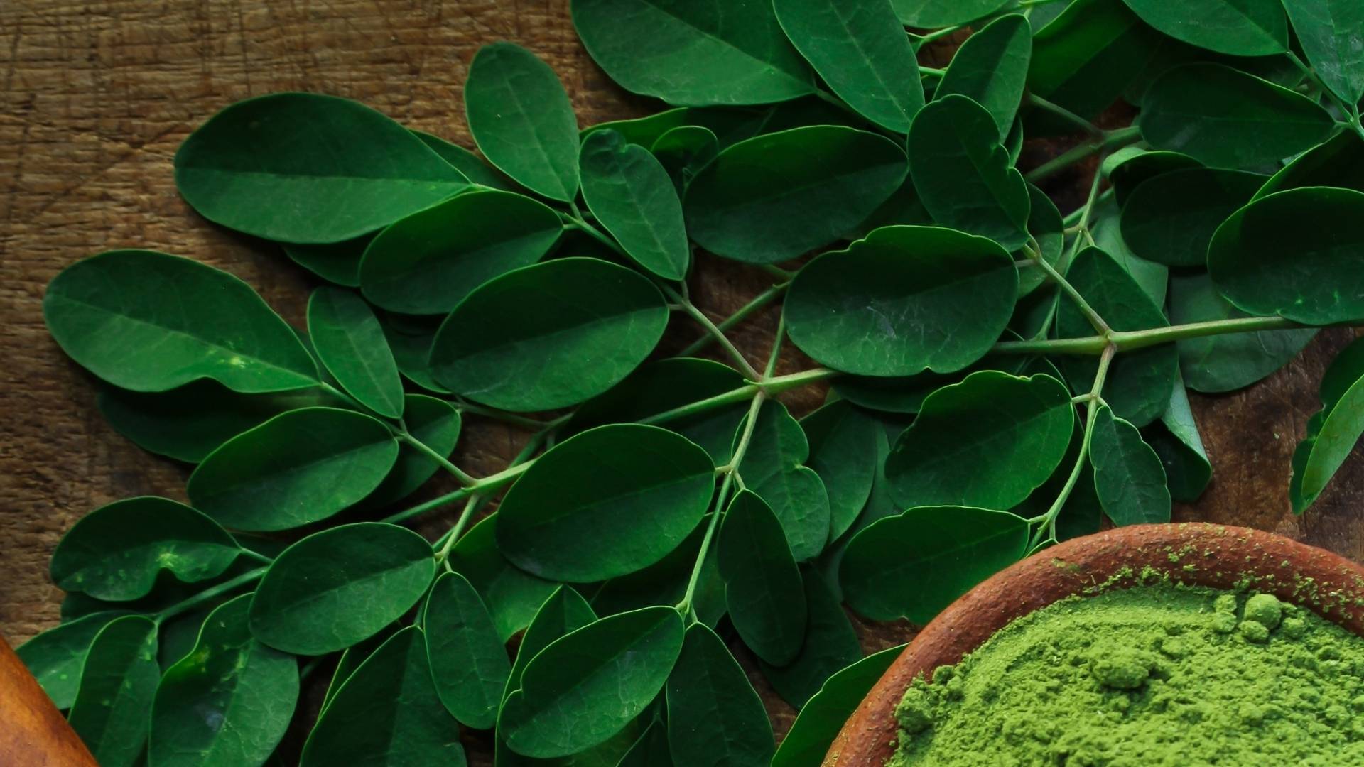 Organic Moringa Extract gallery image 2