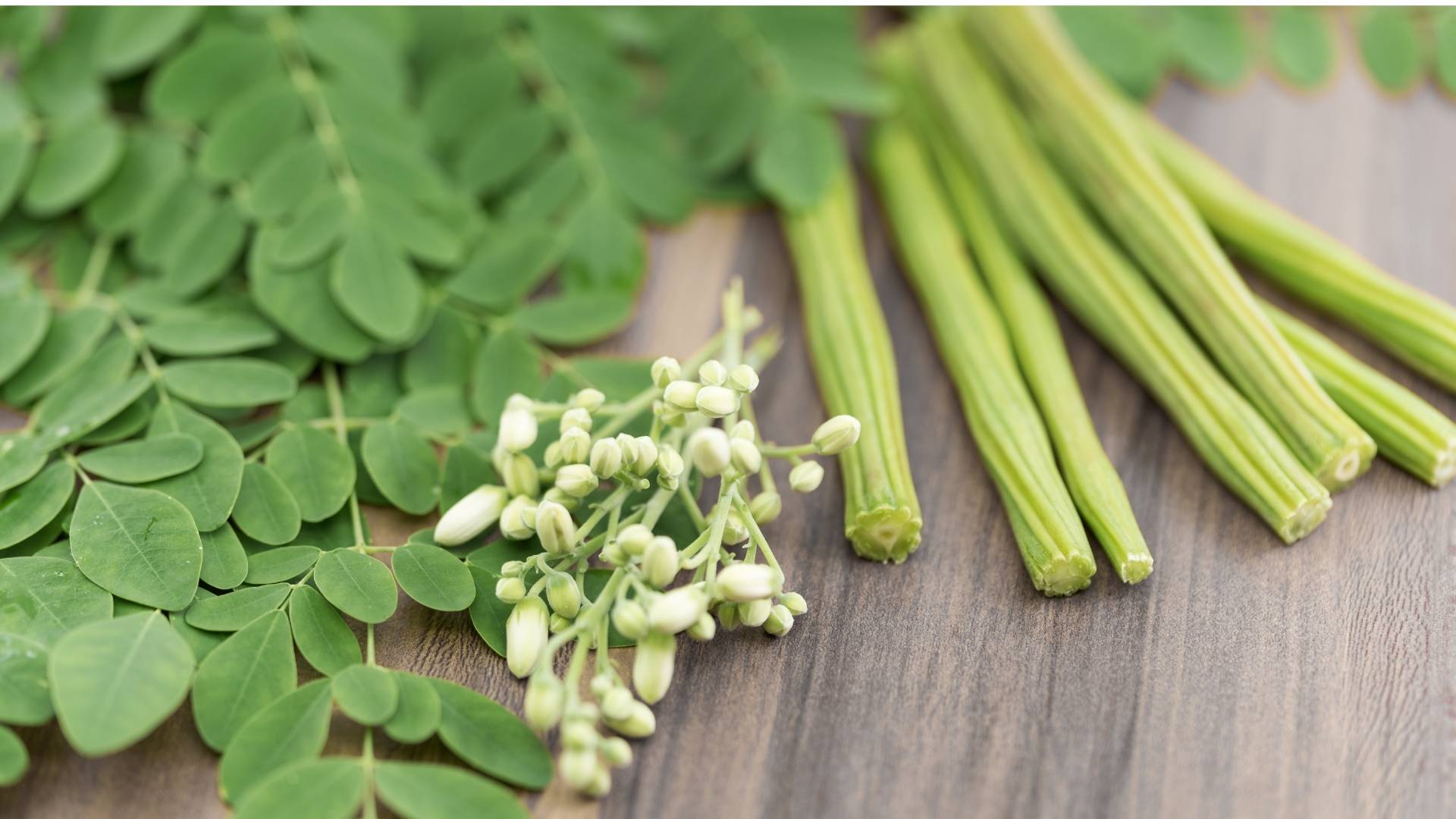 Organic Moringa Extract gallery image 3