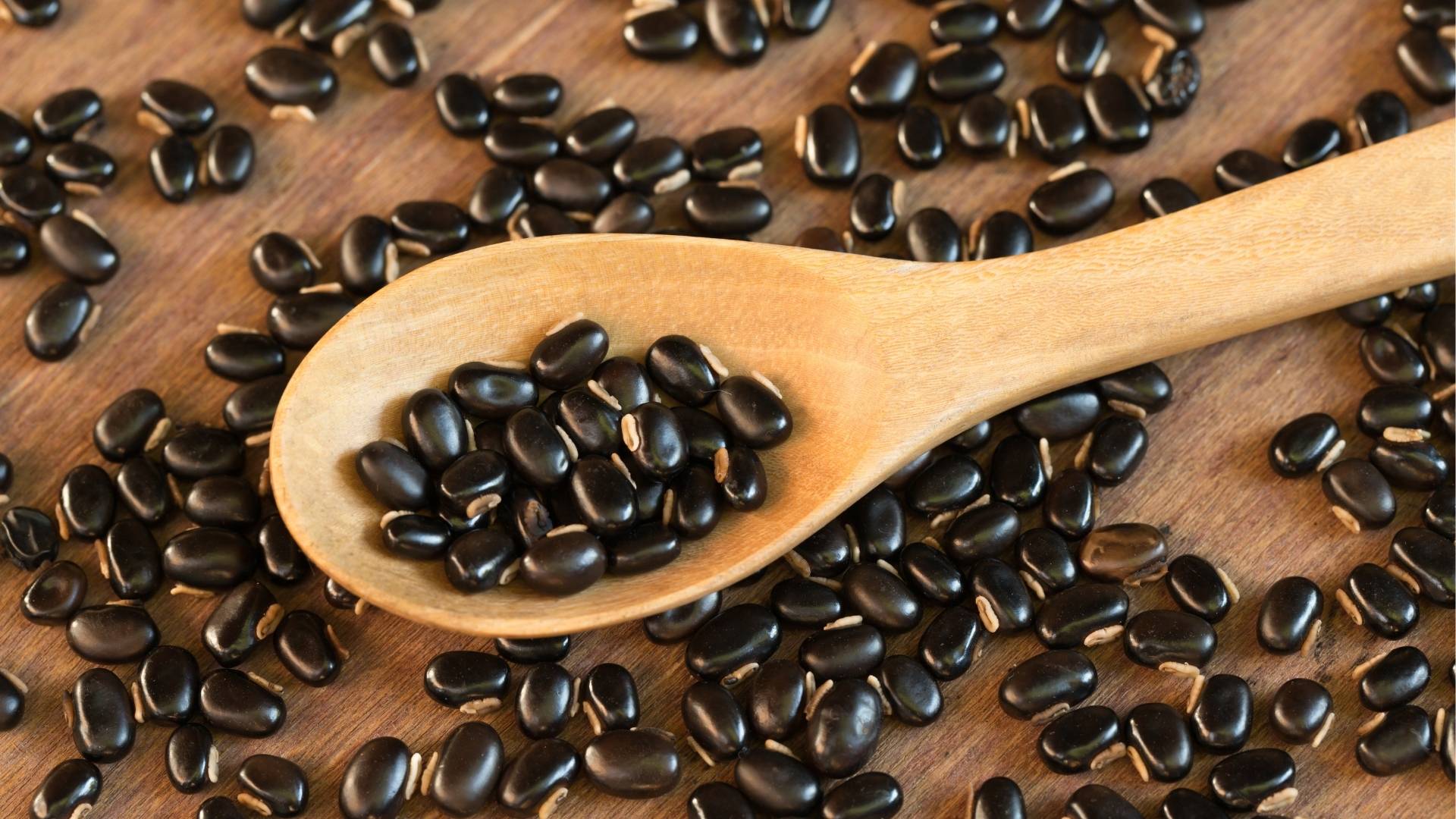 Mucuna Extract gallery image 2