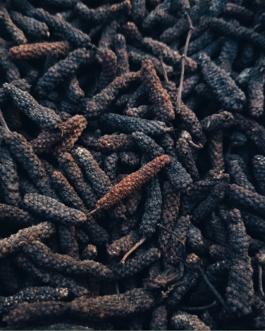 Organic Piper longum Extract gallery image 1
