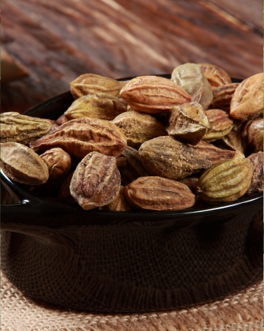 Organic Terminalia chebula Extract gallery image 2