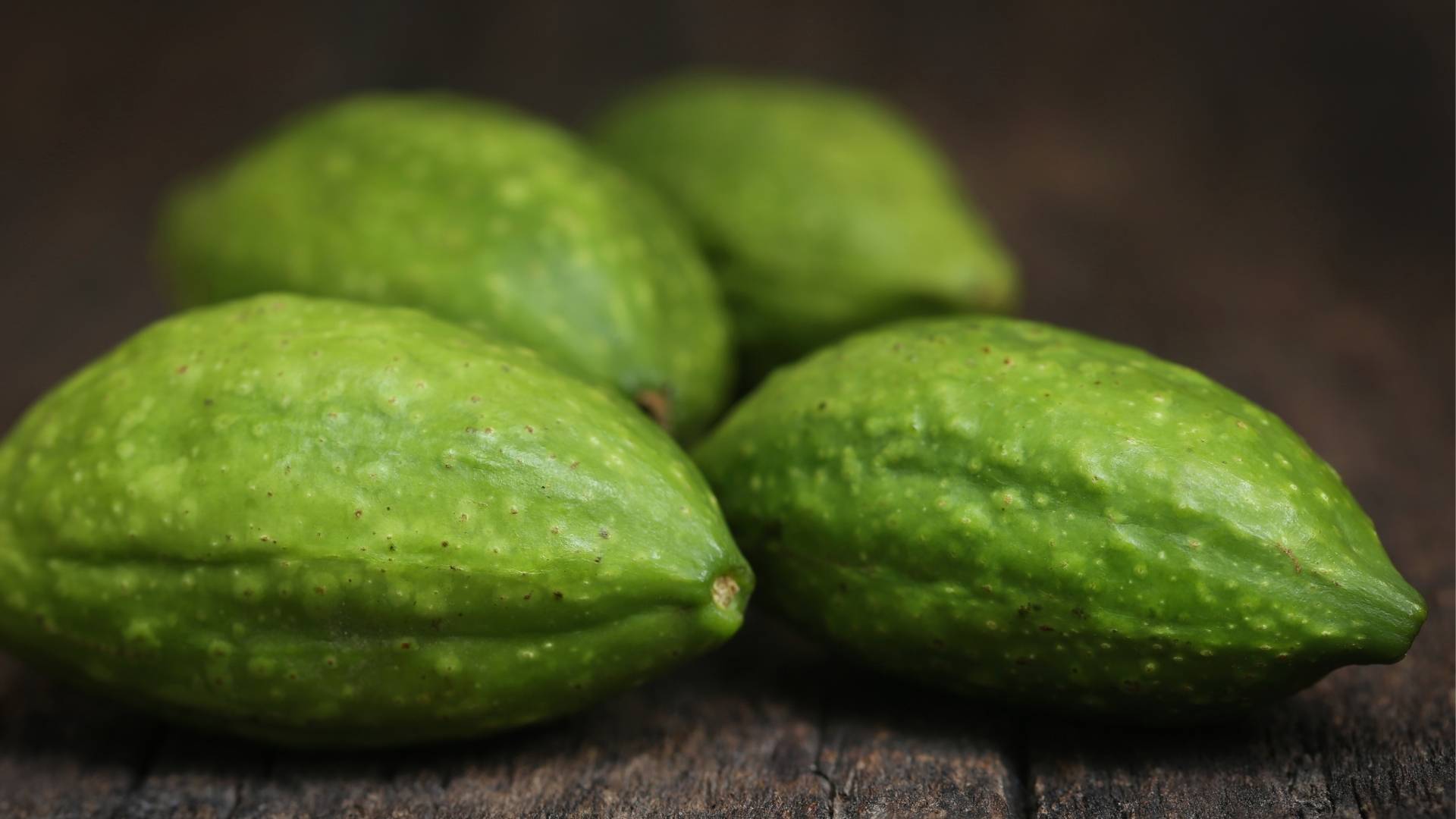 Organic Terminalia chebula Extract gallery image 3