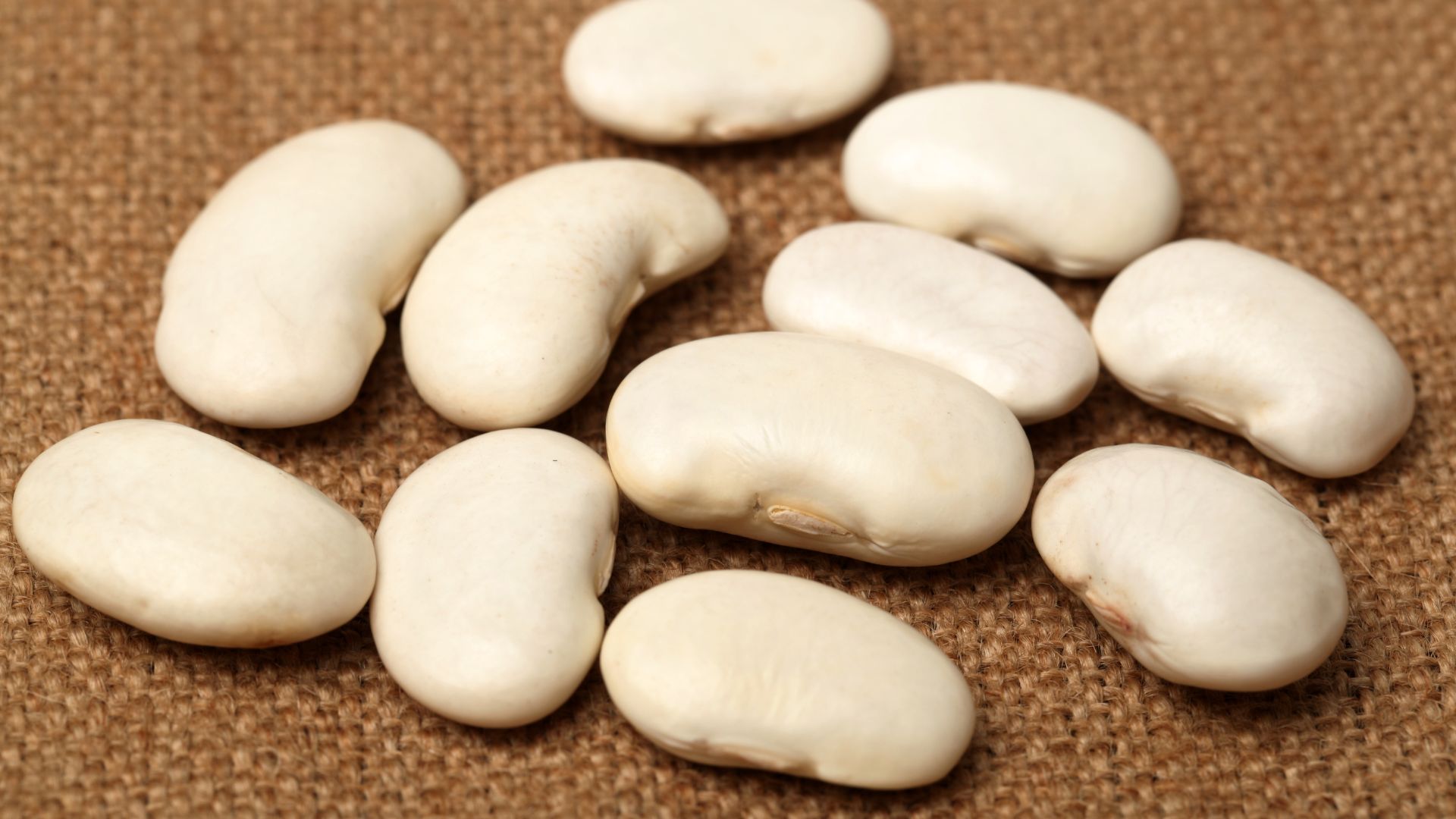 White Kidney Bean Extract gallery image 1