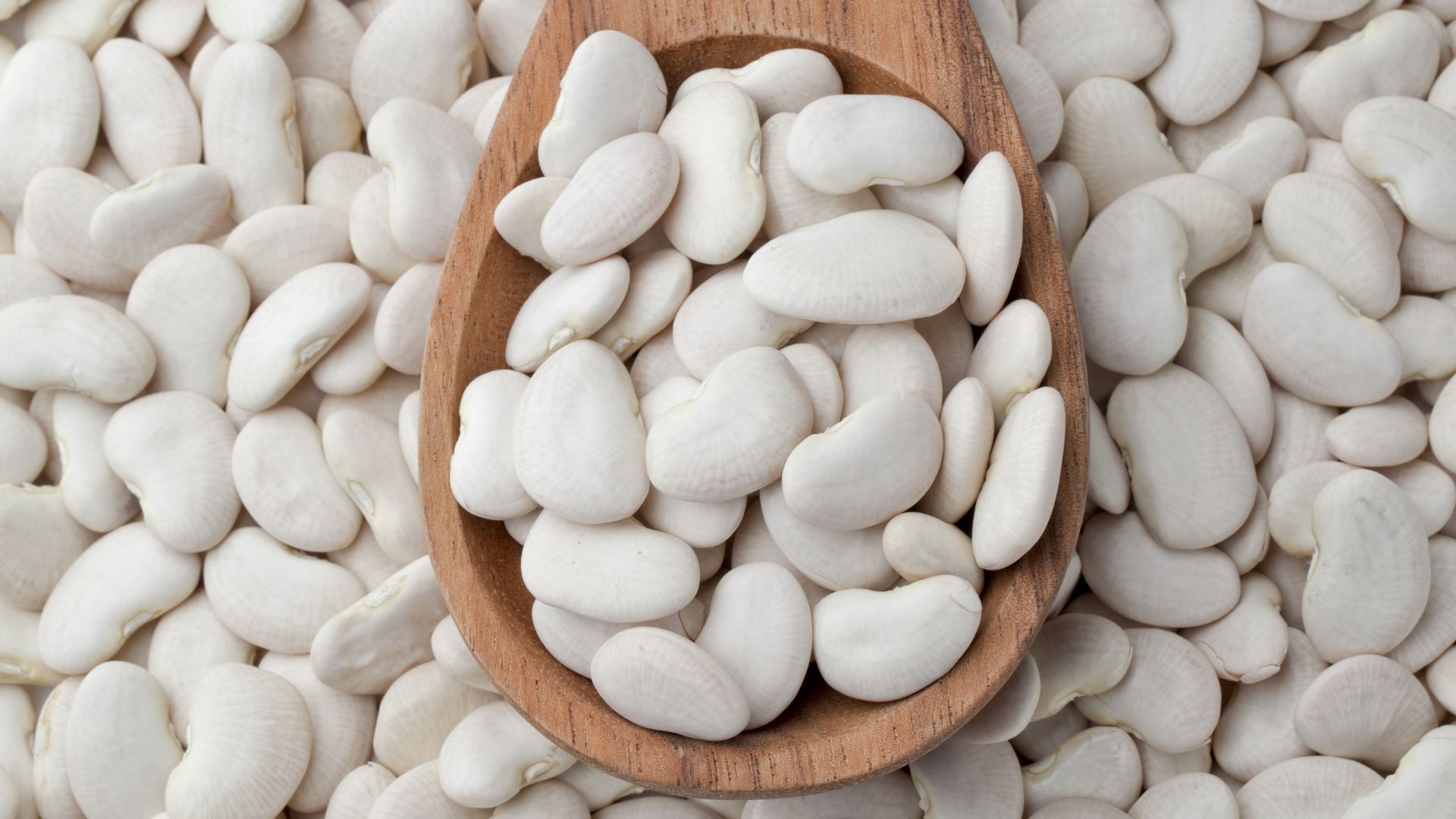 White Kidney Bean Extract gallery image 2